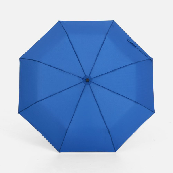 Зонт складной Monsoon