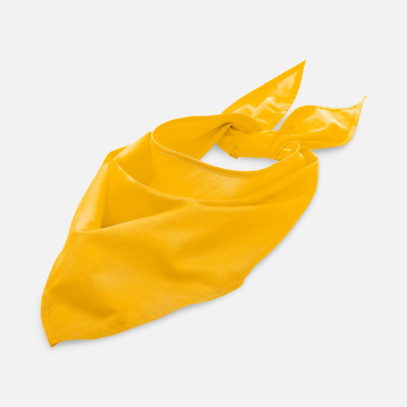 Шейный платок Bandana