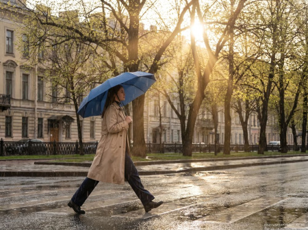 Зонт складной Regenfall