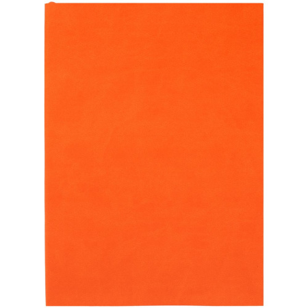 Ежедневник Flat Light, недатированный
