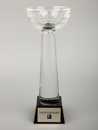 Кубок Cupture