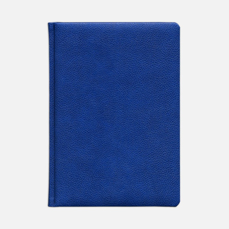 Ежедневник Sagrin, недатированный