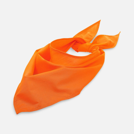 Шейный платок Bandana