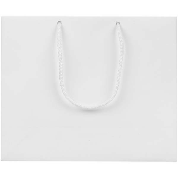 Пакет бумажный Lami Tote S